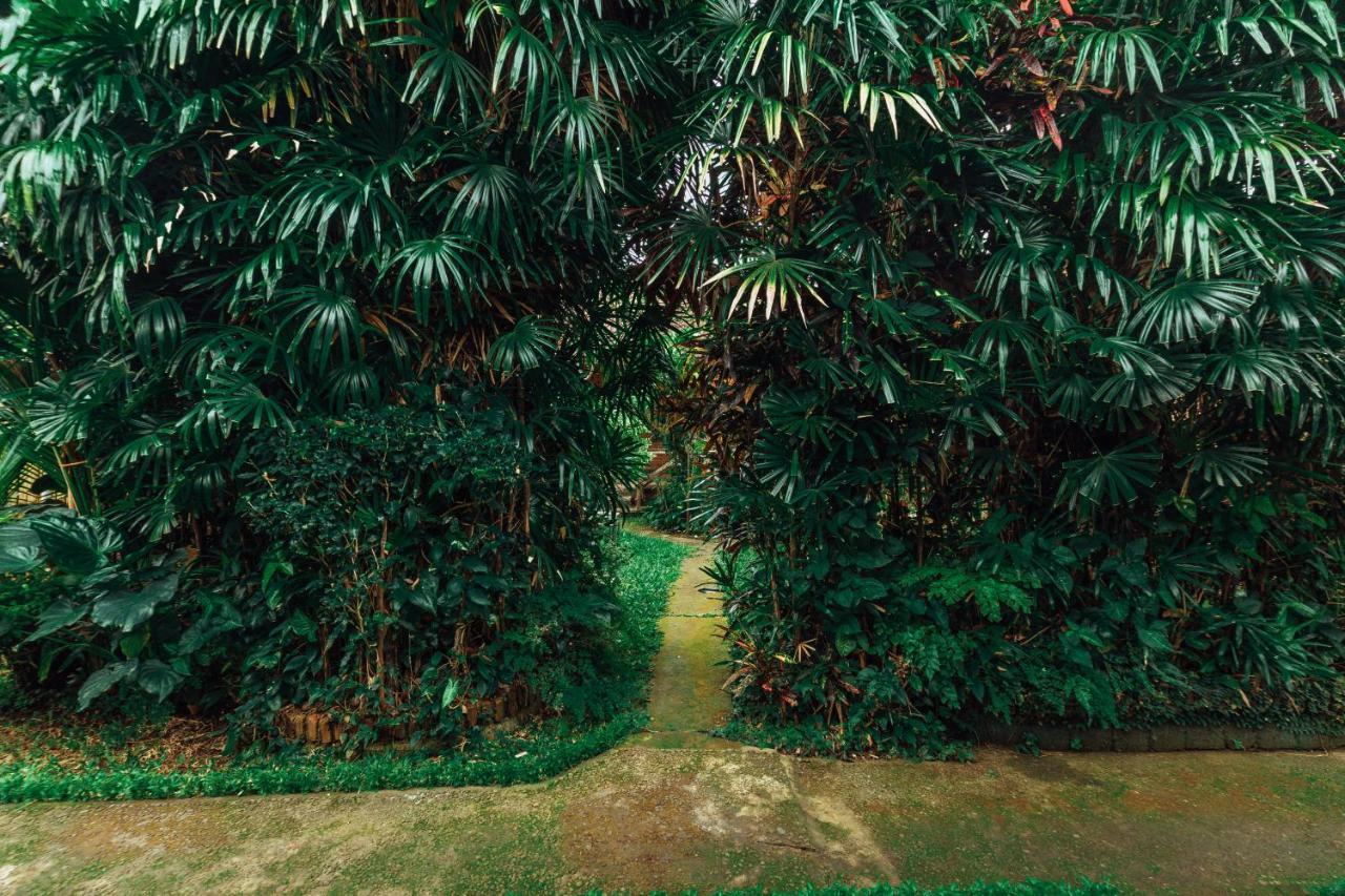 Suastika Lodge Ubud Kültér fotó